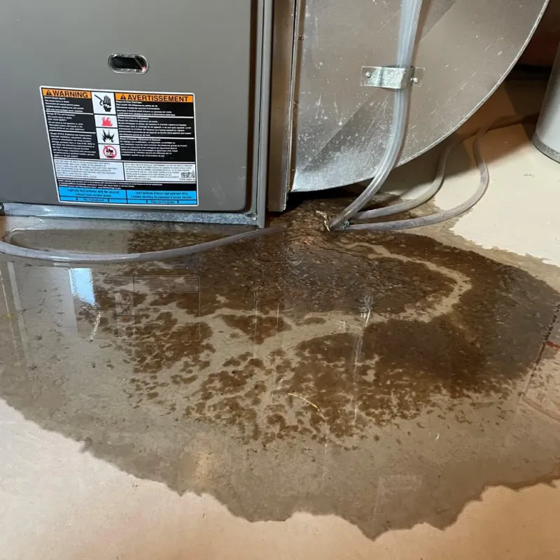 Appliance Leak Cleanup in Medford, MA